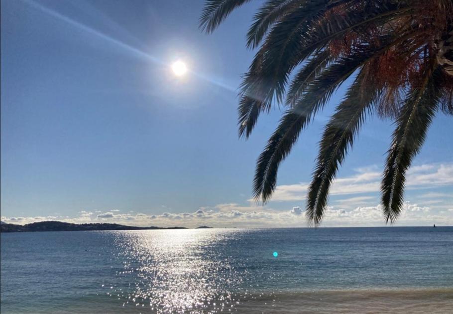 L Annexe 50M De La Plage Bandol Esterno foto
