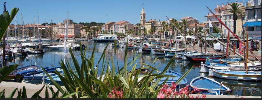 L Annexe 50M De La Plage Bandol Esterno foto